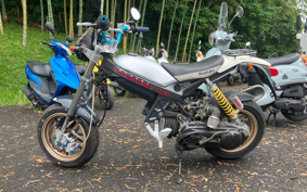 SUZUKI STREET MAGIC CF12A