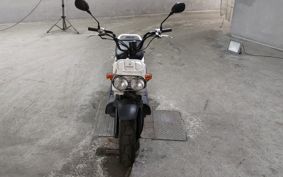 HONDA ZUMAR AF58