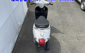HONDA GIORNO
