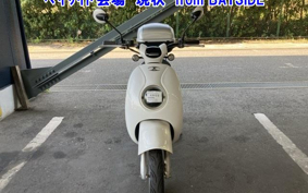 OTHER MINI BIKE