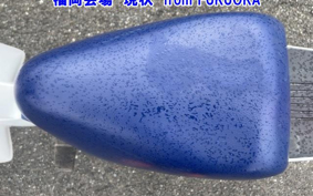 SUZUKI MOLLET