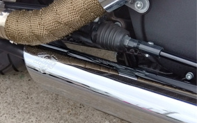 HARLEY HARLEY XL883N 2017 LE2