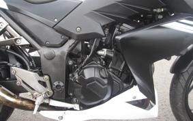 KAWASAKI Z250 ER250C
