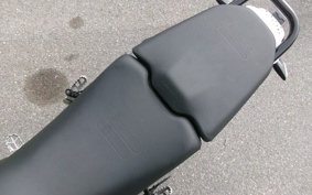 DUCATI  DUCATI  DESERT X 2024 1X00