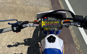 YAMAHA TT250R 4GY