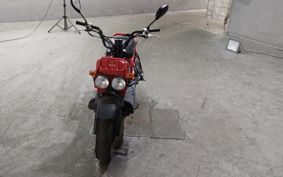 HONDA ZUMAR AF58