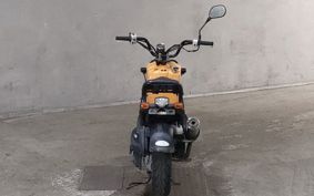 HONDA ZUMAR AF58