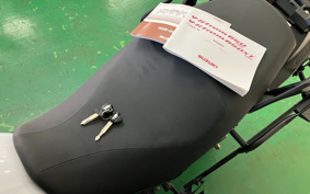 SUZUKI DL650 ( V-Strom 650 ) 2019 C733A