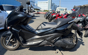 HONDA PHASE MF11