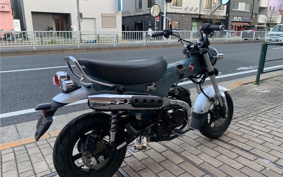 HONDA  DUX 125 JB04