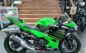 KAWASAKI NINJA 250 KRT ED EX250P