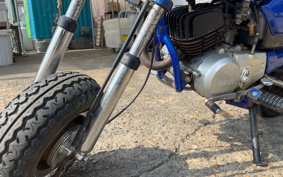 YAMAHA POCKET50 4U1