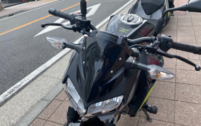 KAWASAKI Z250 EX250P