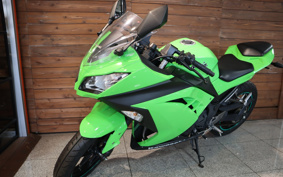 KAWASAKI NINJA 250 EX250L