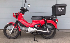 HONDA CROSS CUB JA45