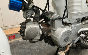 HONDA BENLY50 CD50