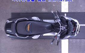 YAMAHA MAXAM250