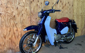 HONDA  SUPER CUB C125 JA48