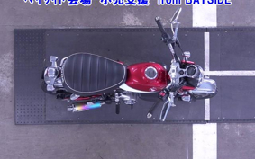 OTHER  MONKEY 125