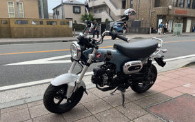 HONDA  DUX 125 JB04