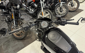 HARLEY  HARLEY RH975 NIGHT  STAR  2022 ZH1