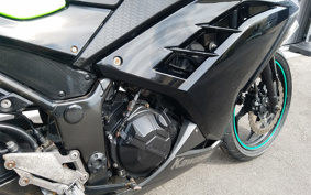 KAWASAKI NINJA 250 EX250L