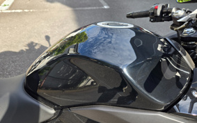 SUZUKI GSX250R DN11A