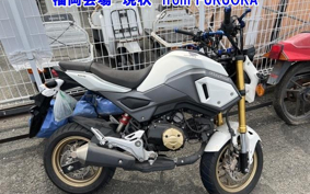 OTHER GROM-2
