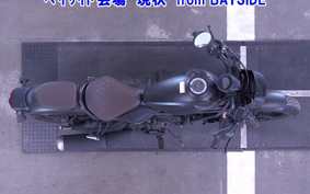 OTHER  REBEL 250A