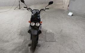 HONDA ZUMAR AF58