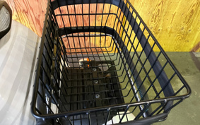 HONDA BENLY PRO AA05