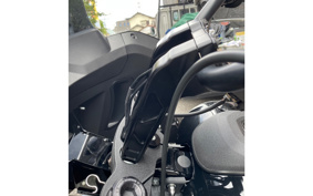 HARLEY  HARLEY FXLRST 2022 YXZ
