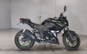 KAWASAKI Z250 ER250C