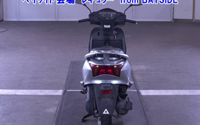 OTHER  LEAD 110EX