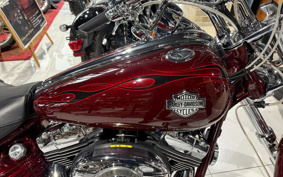 HARLEY  HARLEY FXCWC 2008 JK5