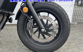 OTHER  REBEL 500