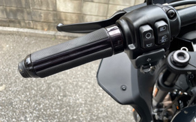 HARLEY  HARLEY FXLRST 2022 YXZ
