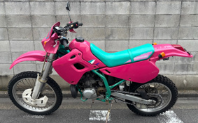 KAWASAKI KDX250SR DX250F