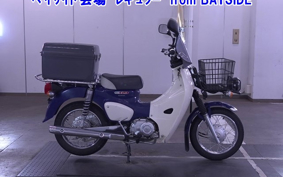 OTHER C110-3