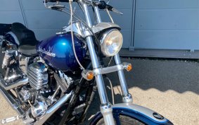 HARLEY  HARLEY FXDL 100TH 2001 GDV