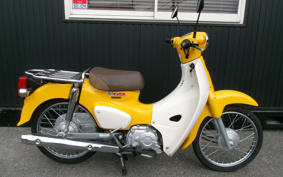 HONDA SUPER CUB50 AA09