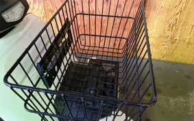 HONDA  BENLY  PRO  AA05