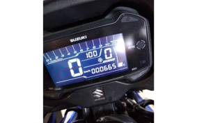 SUZUKI GSX250R DN11A