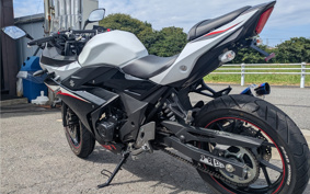 SUZUKI GSX250R DN11A