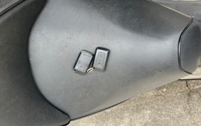 SUZUKI SKYWAVE 250 CJ44A