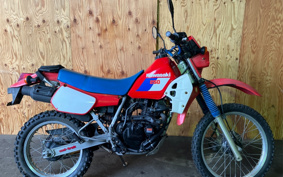 KAWASAKI KL250R KL250D