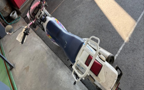 YAMAHA TT250R 4GY