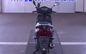 OTHER  LEAD 110EX