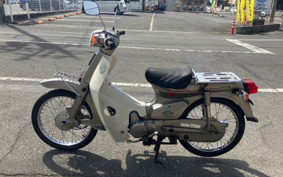 HONDA SUPER CUB50 C50