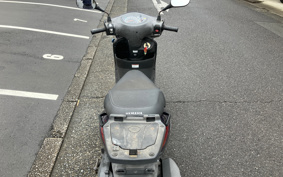 YAMAHA AKUSHI STREET SE53J